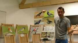 Conférence animée « Tatihou au pays des oiseaux »