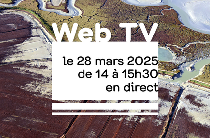 WEB TV | 28.03.25 | Face au changement climatique, la nature est-elle la solution ?