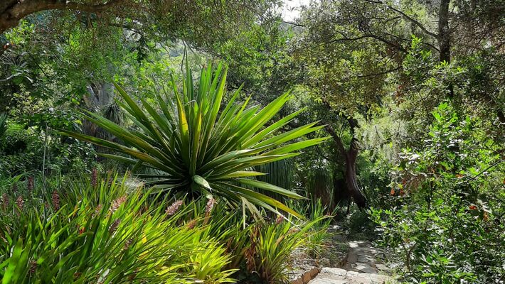 Visite domaine du rayol 