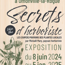 Secrets d’herboriste, les (super) pouvoirs des plantes locales